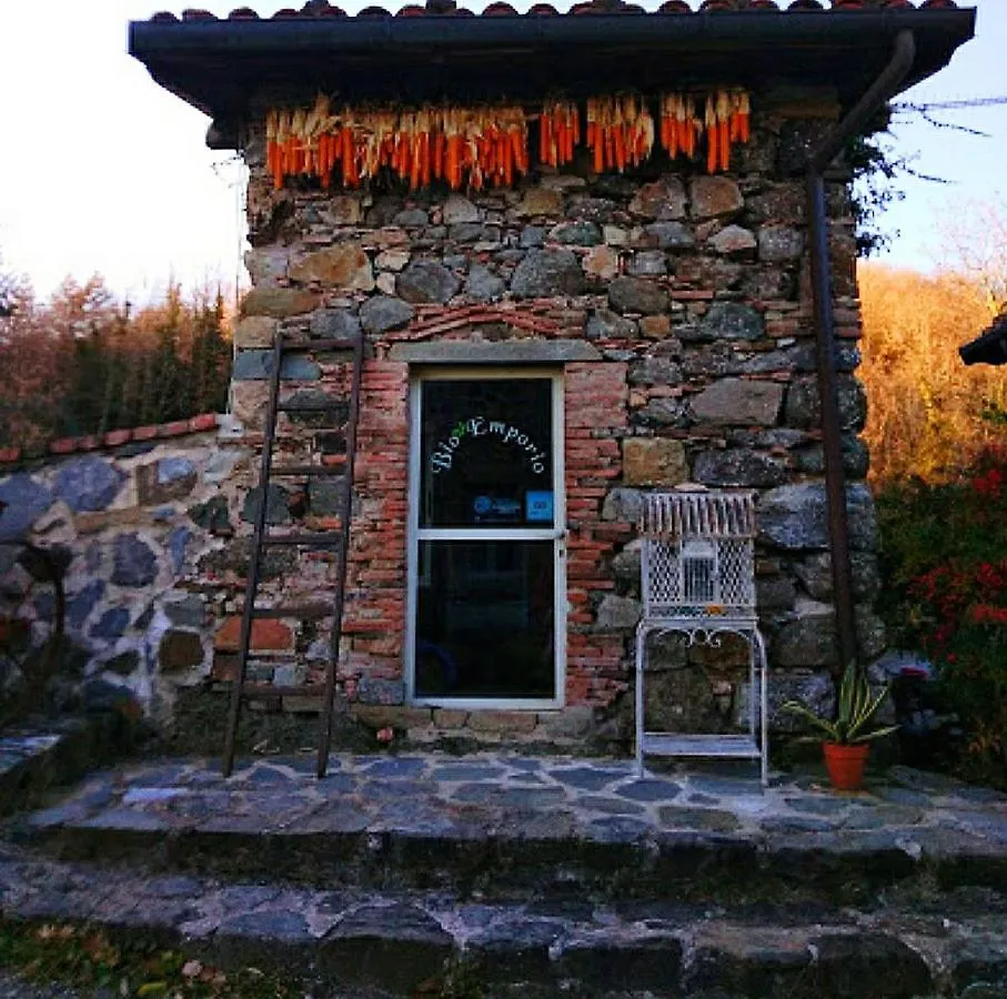 Appartamento Agriturismo Paneolio Villa Collemandina