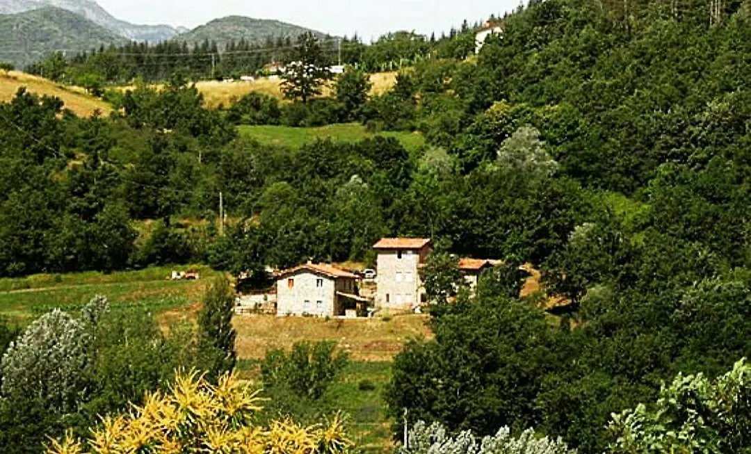 Agriturismo Paneolio Villa Collemandina Italy