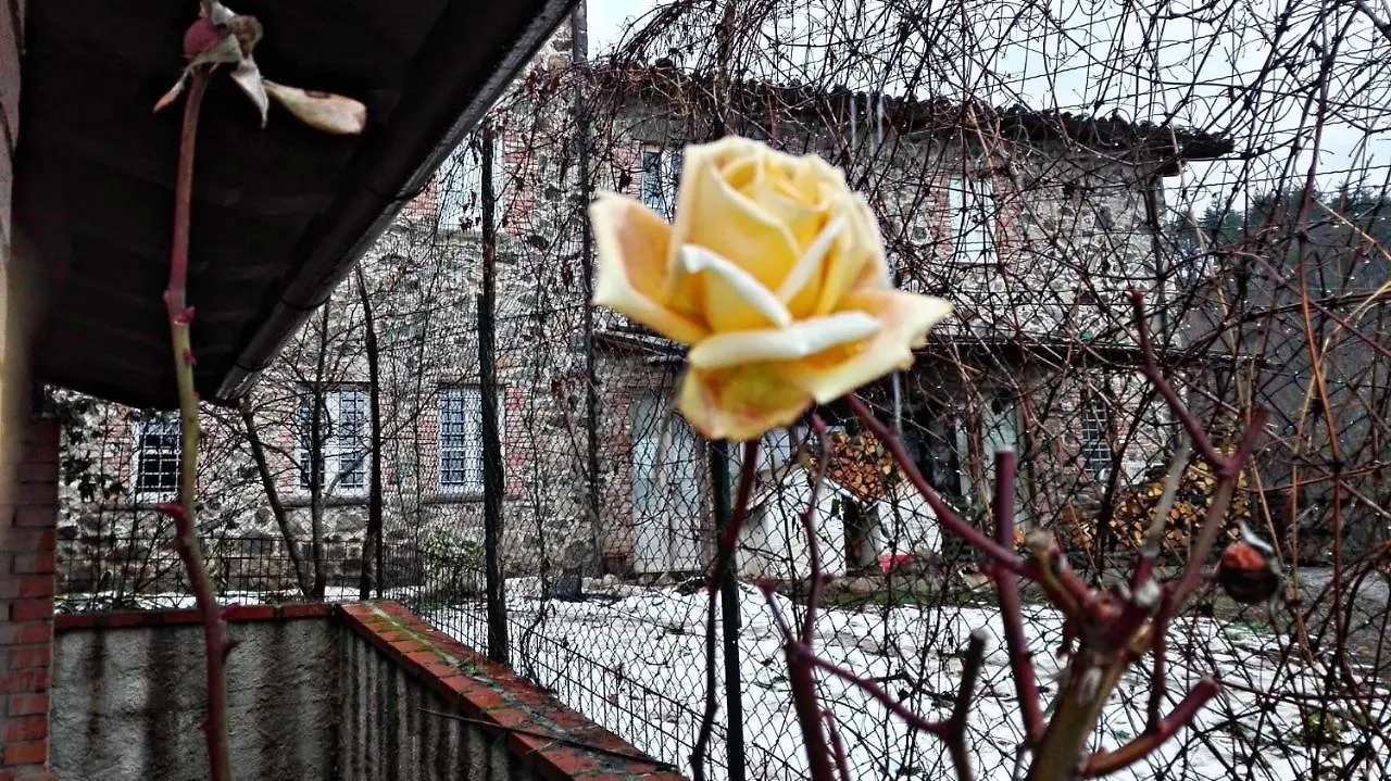 Apartment Agriturismo Paneolio Villa Collemandina Italy