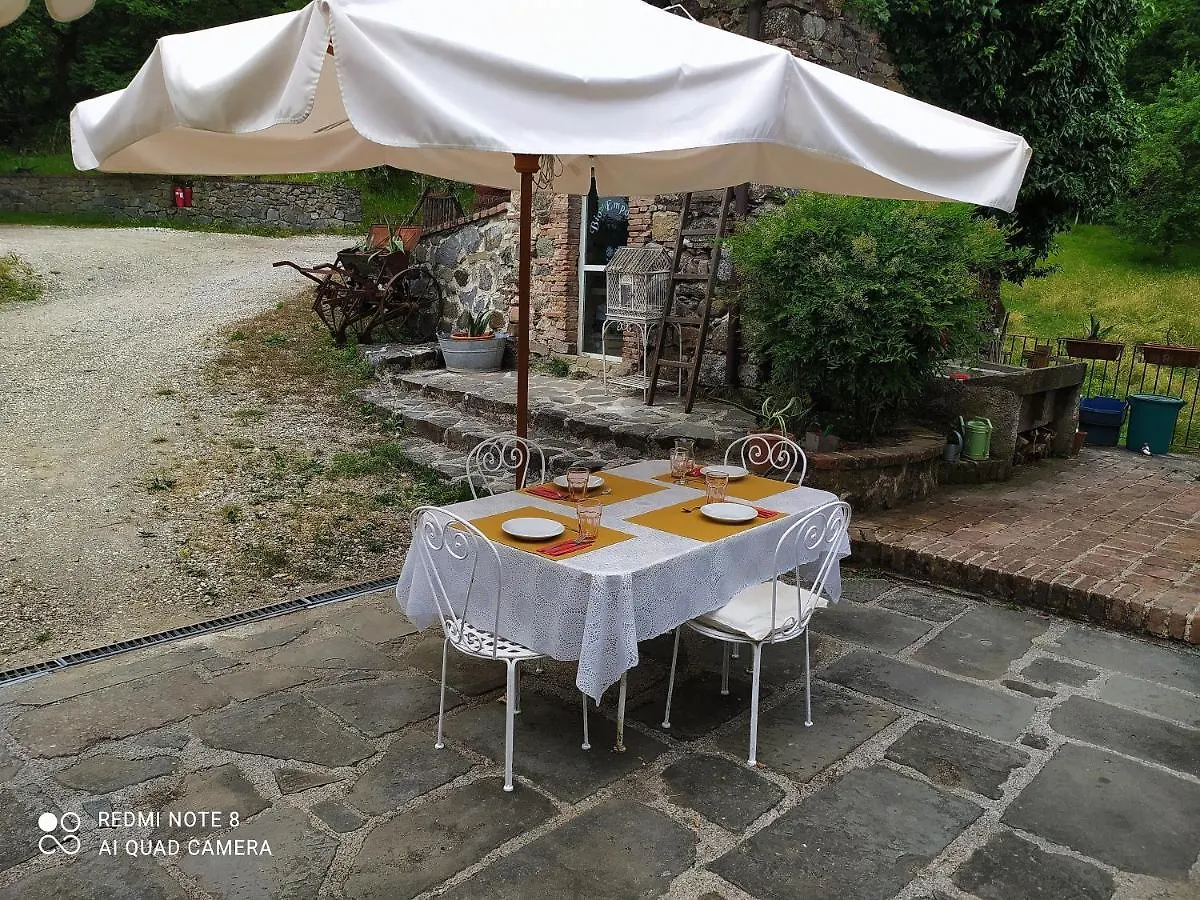 Agriturismo Paneolio Villa Collemandina