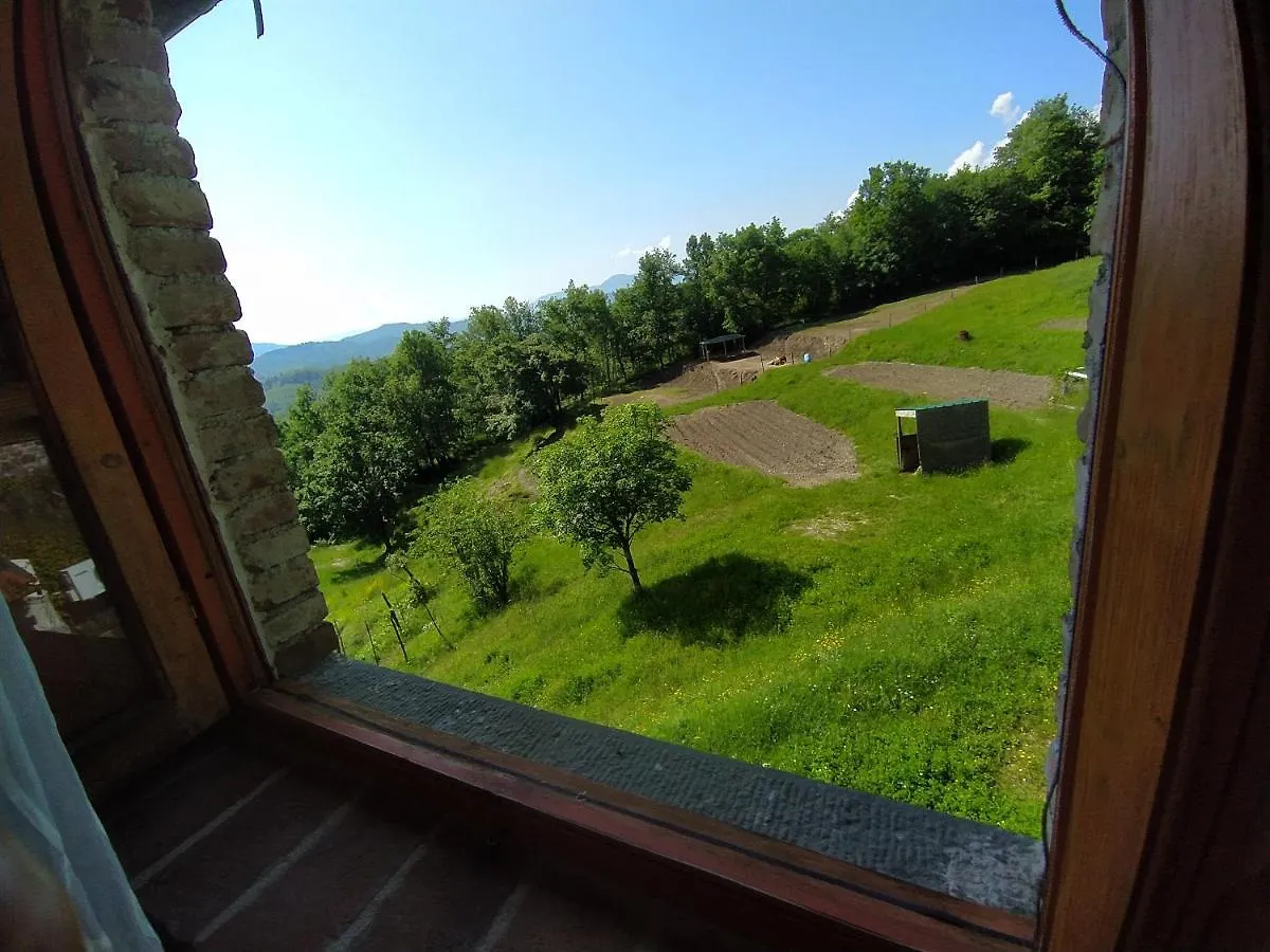 Agriturismo Paneolio Villa Collemandina Italy